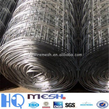 new products 1/4 inch galvanized welded wire mesh ( guangzhou supplier )